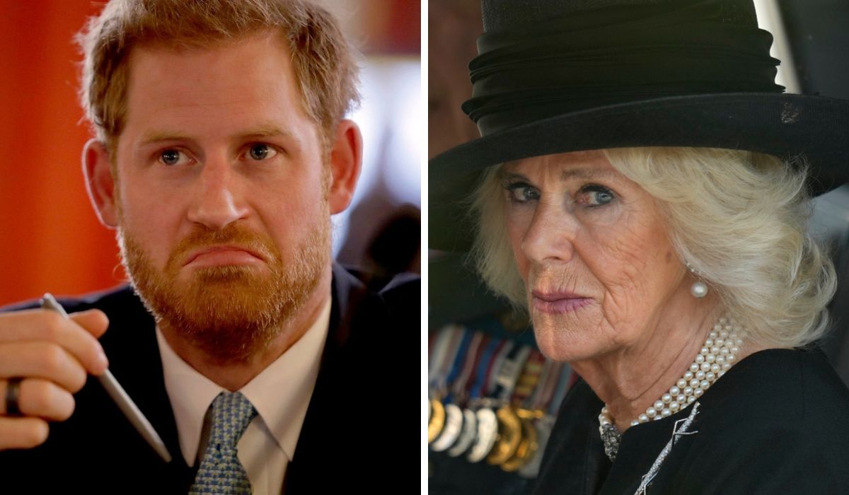 prince-harry-queen-camilla-rift