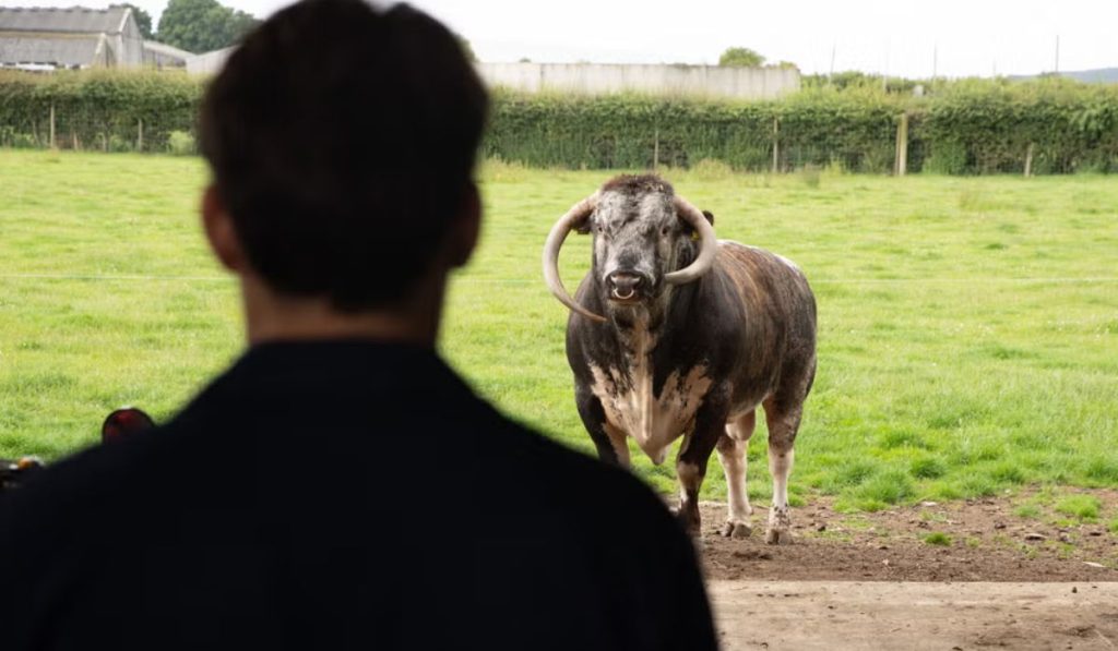 emmerdale-spoilers-bull-mack