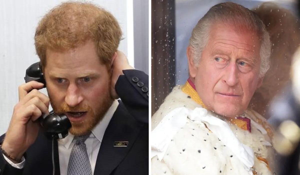 prince-harry-king-charles
