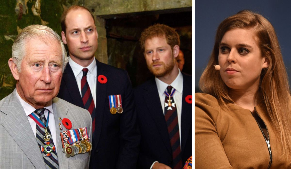 prince-harry-princes-william-princess-beatrice-king-charles