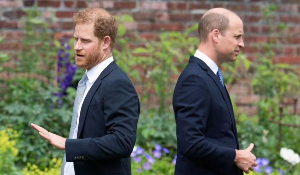 prince-william-prince-harry-rift