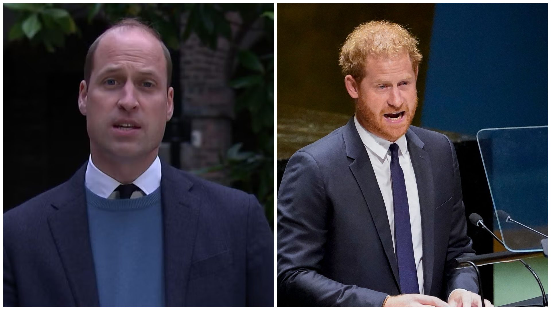 Royal News - Prince William & Harry