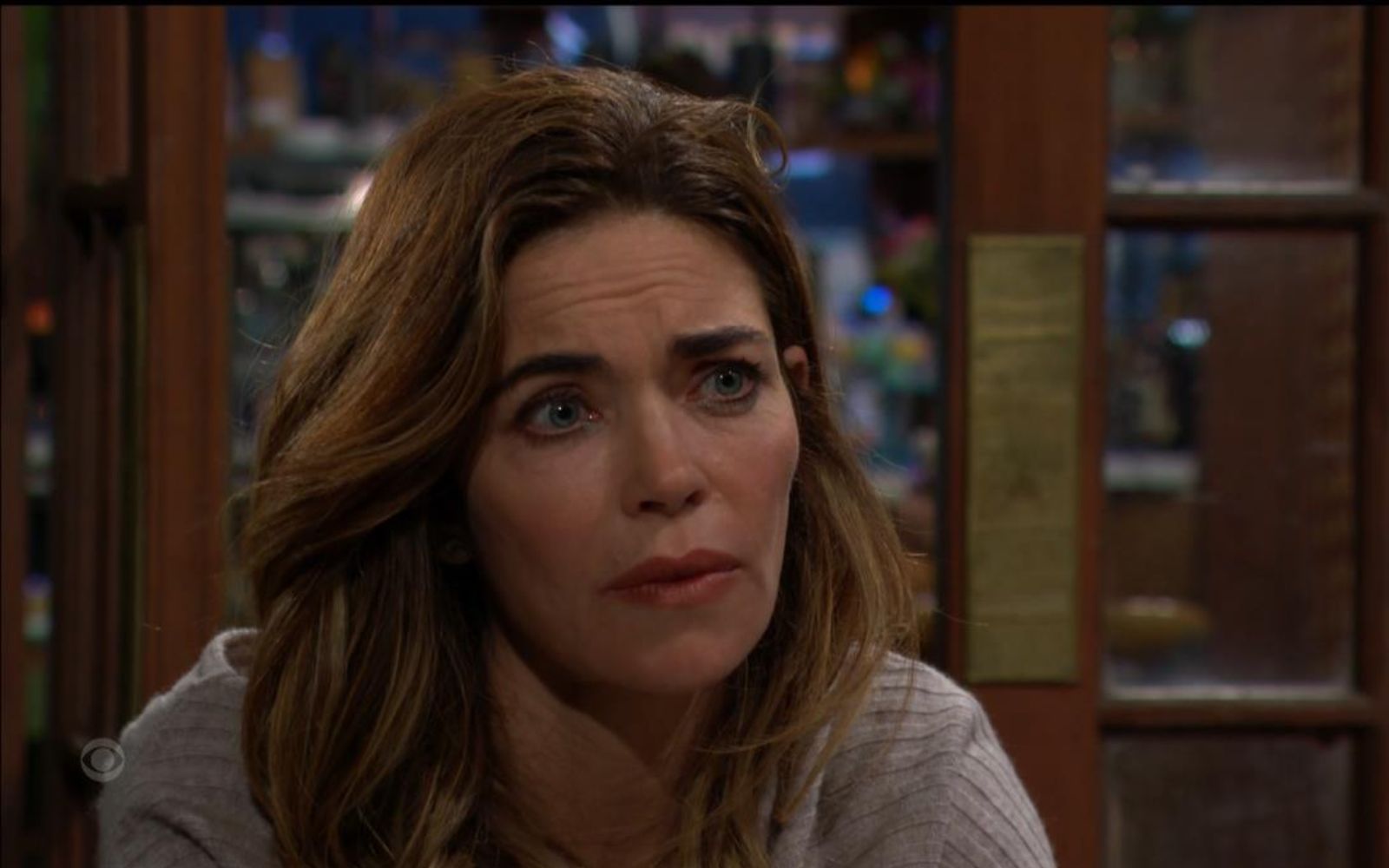 The Young and the Restless Recap