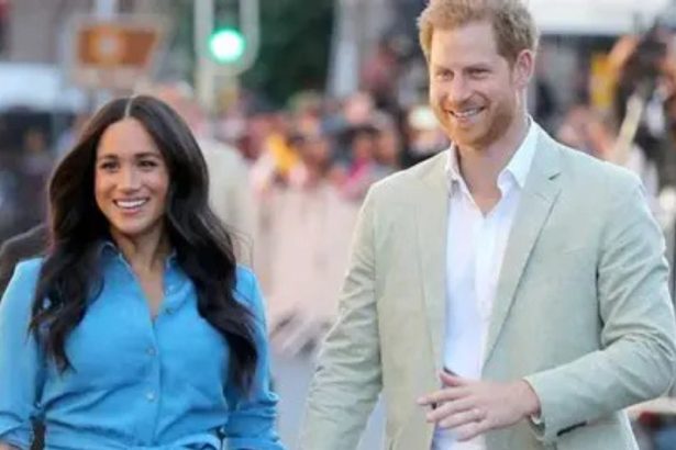 Royal News: What will they do?