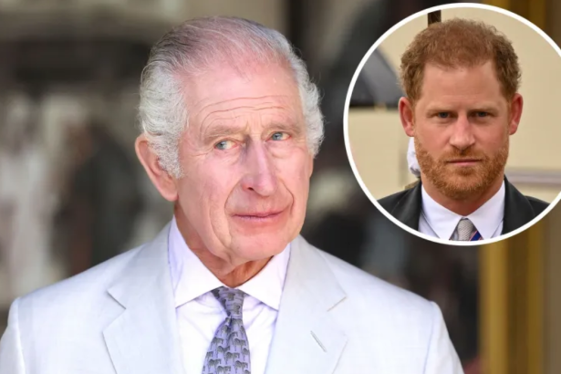 Royal News: King Charles & Prince Harry