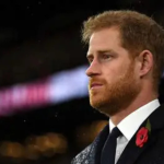 Royal News: Harry is concerned!