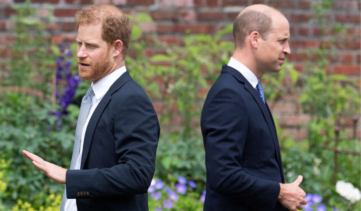 Royal News: Harry & William