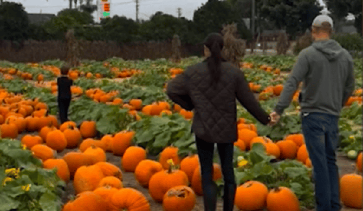 Royal News: Harry & Meghan