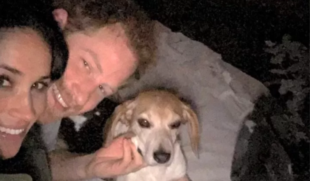 Royal News: Harry & Meghan