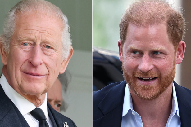 Royal News: Charles & Harry