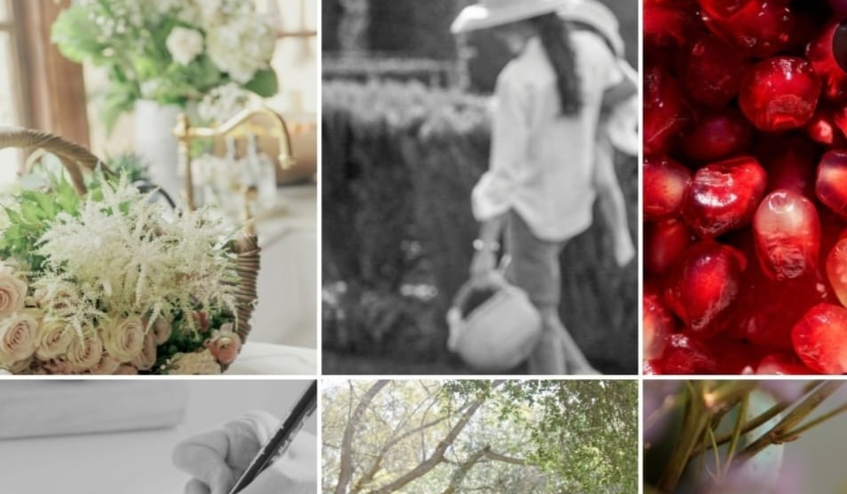 Royal News: Meghan & Lilibet