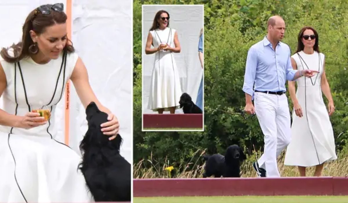 Royal News: William & Kate