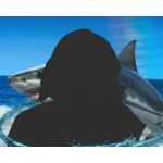 Home and Away: Lynne McGranger