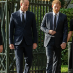 Royal News: Harry & William