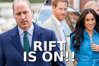 Royal News: Prince William